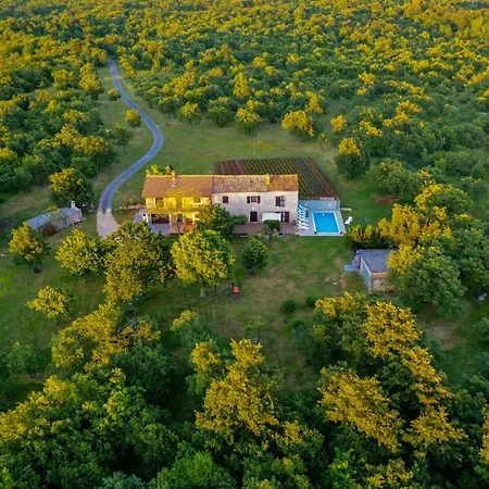 House Gracijela, Village Bulici * Sajini